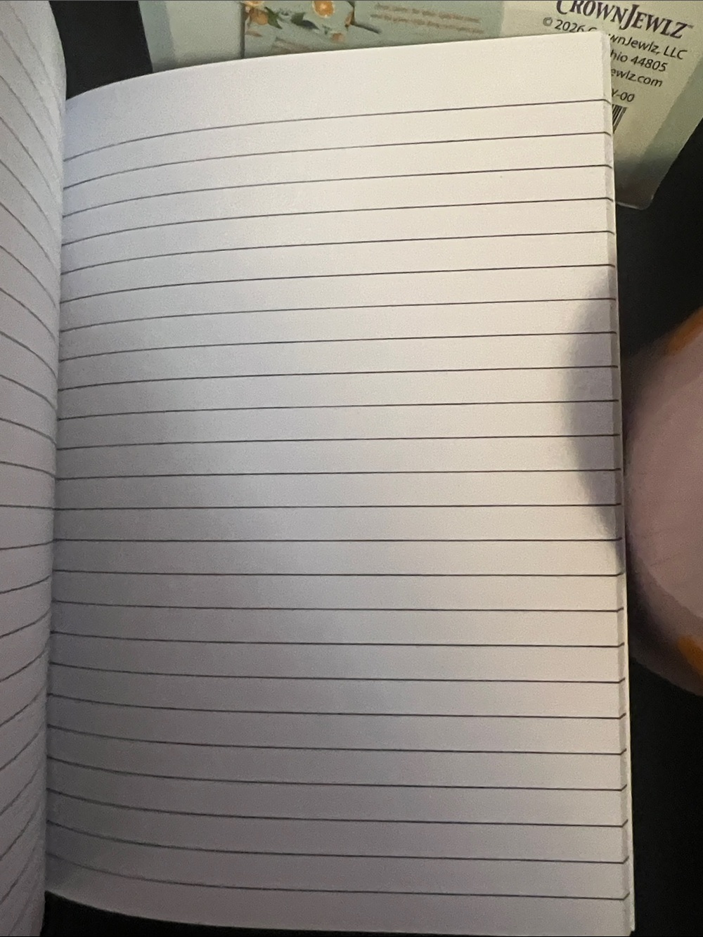 Citrus Bundle, Mug, Notebook, Scripture/Prayer Cards - Picture 4 of 4